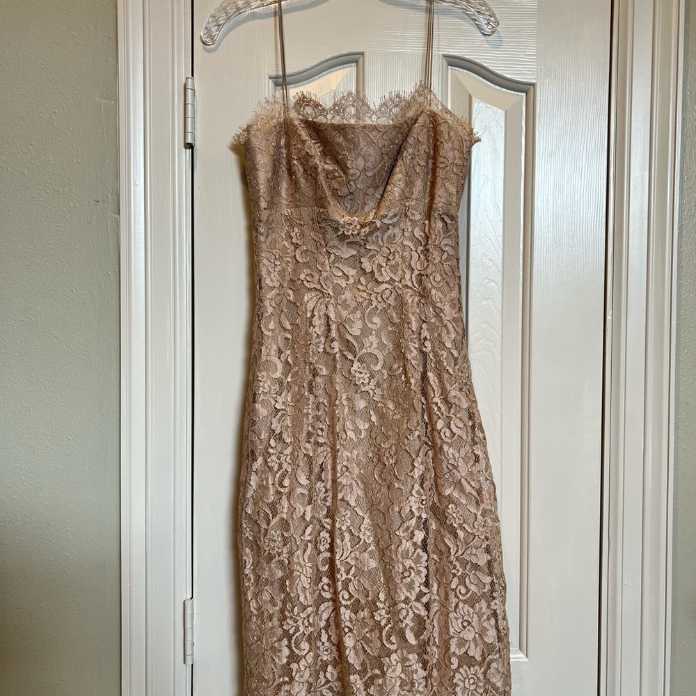 Muse Strapless Lace Dress in Champagne- bridal shower dress